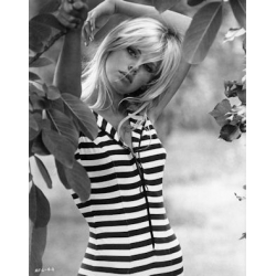 Britt Ekland Photo